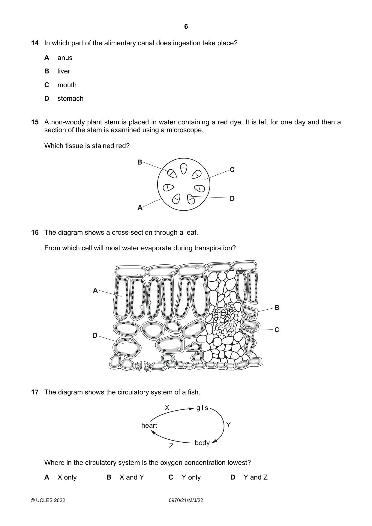 Cambridge IGCSE Biology (9-1) 0970 2022 May/June Paper 2 · Variant 1 question paper, page 6 of 16