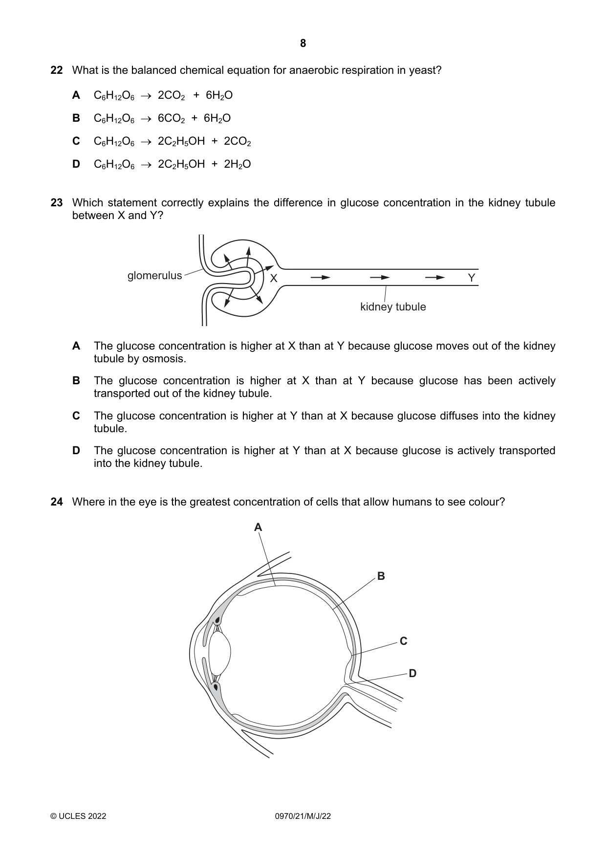 Cambridge IGCSE Biology (9-1) 0970 2022 May/June Paper 2 · Variant 1 question paper, page 8 of 16