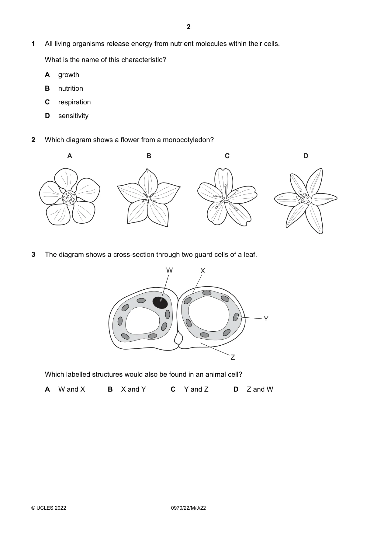 Cambridge IGCSE Biology (9-1) 0970 2022 May/June Paper 2 · Variant 2 question paper, page 2 of 16