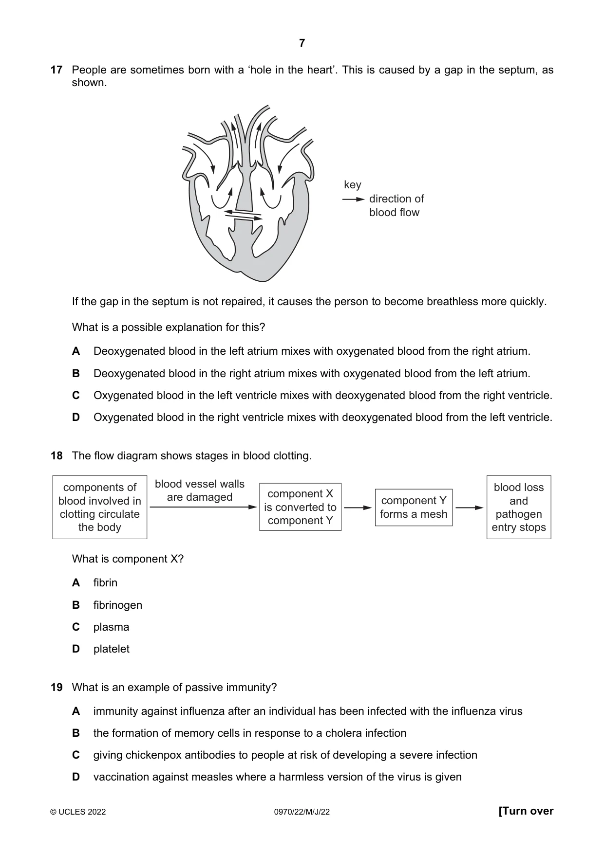 Cambridge IGCSE Biology (9-1) 0970 2022 May/June Paper 2 · Variant 2 question paper, page 7 of 16