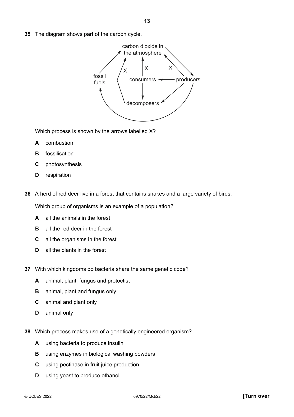 Cambridge IGCSE Biology (9-1) 0970 2022 May/June Paper 2 · Variant 2 question paper, page 13 of 16