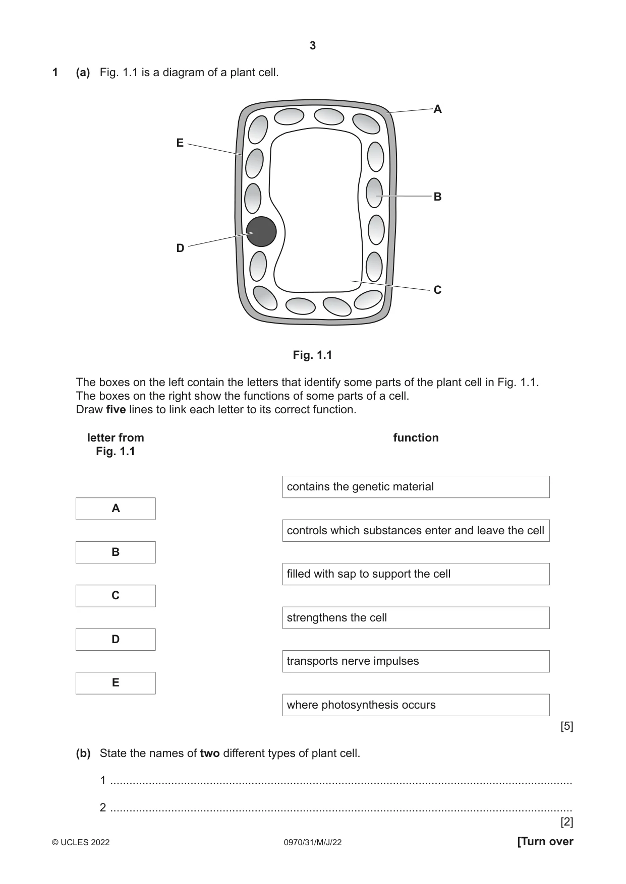 Cambridge IGCSE Biology (9-1) 0970 2022 May/June Paper 3 · Variant 1 question paper, page 3 of 20