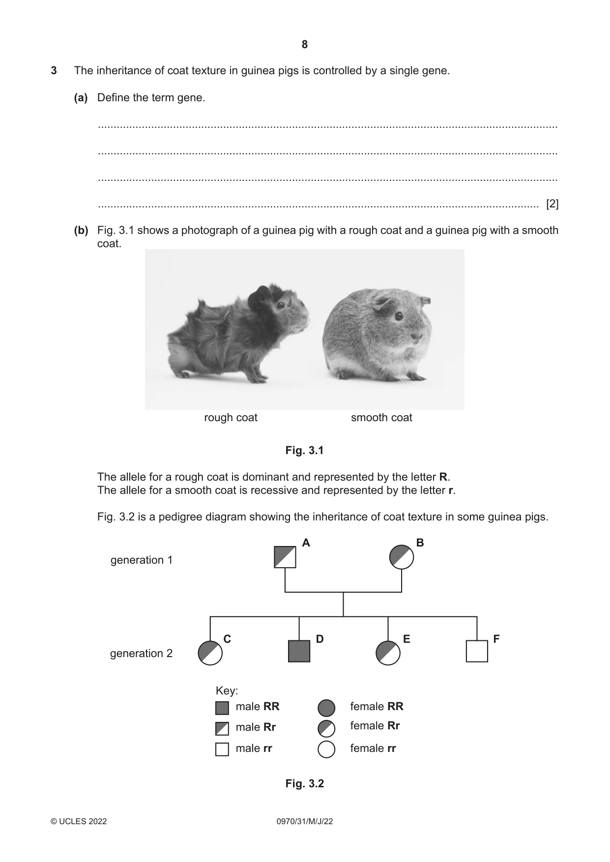 Cambridge IGCSE Biology (9-1) 0970 2022 May/June Paper 3 · Variant 1 question paper, page 8 of 20