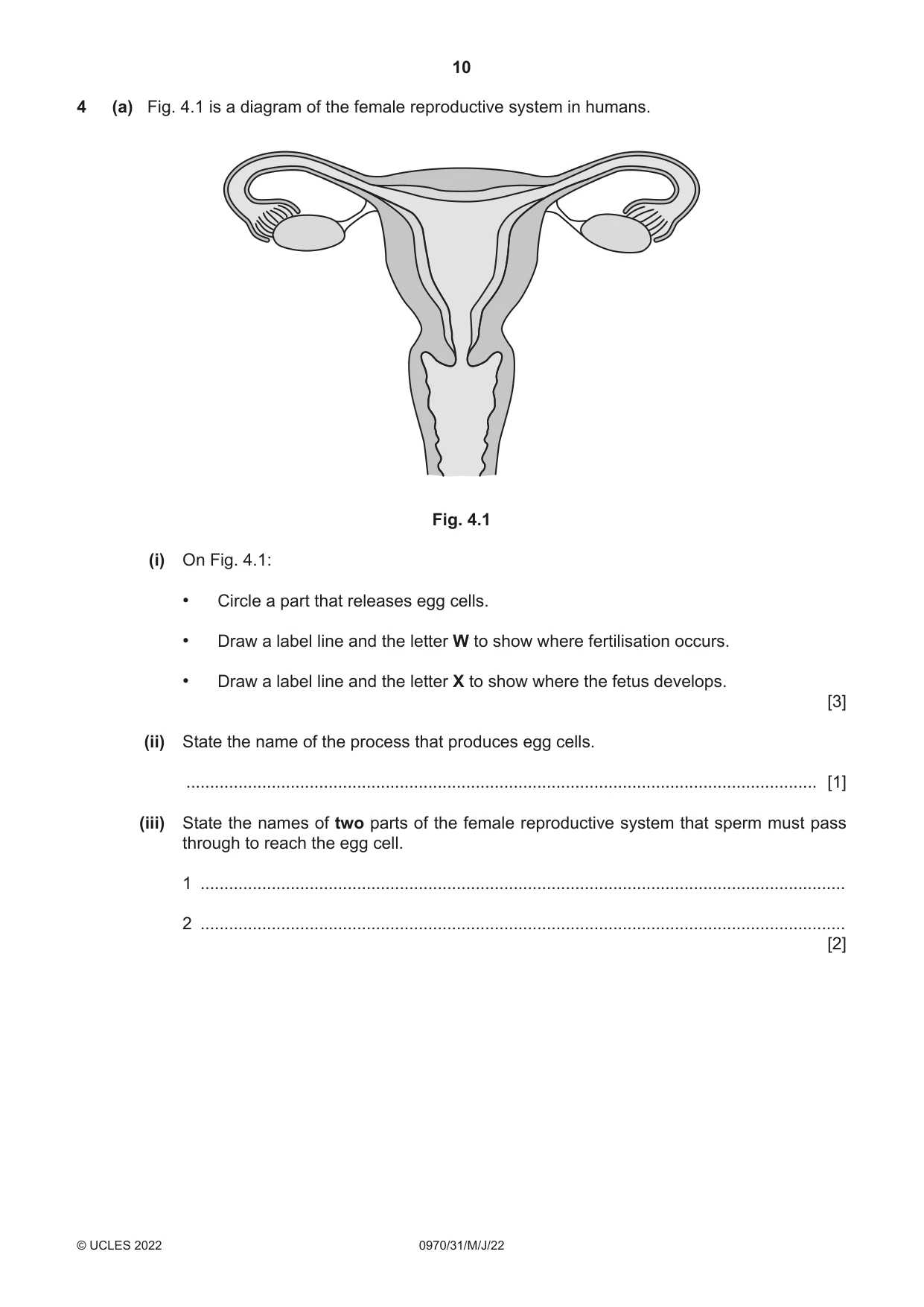 Cambridge IGCSE Biology (9-1) 0970 2022 May/June Paper 3 · Variant 1 question paper, page 10 of 20