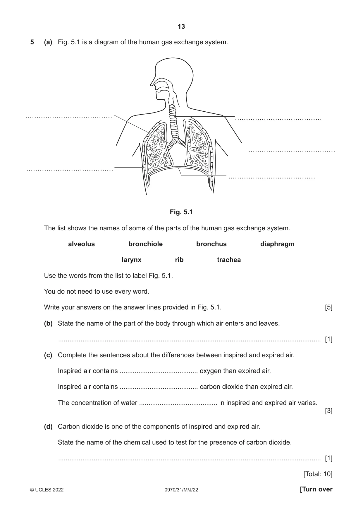 Cambridge IGCSE Biology (9-1) 0970 2022 May/June Paper 3 · Variant 1 question paper, page 13 of 20
