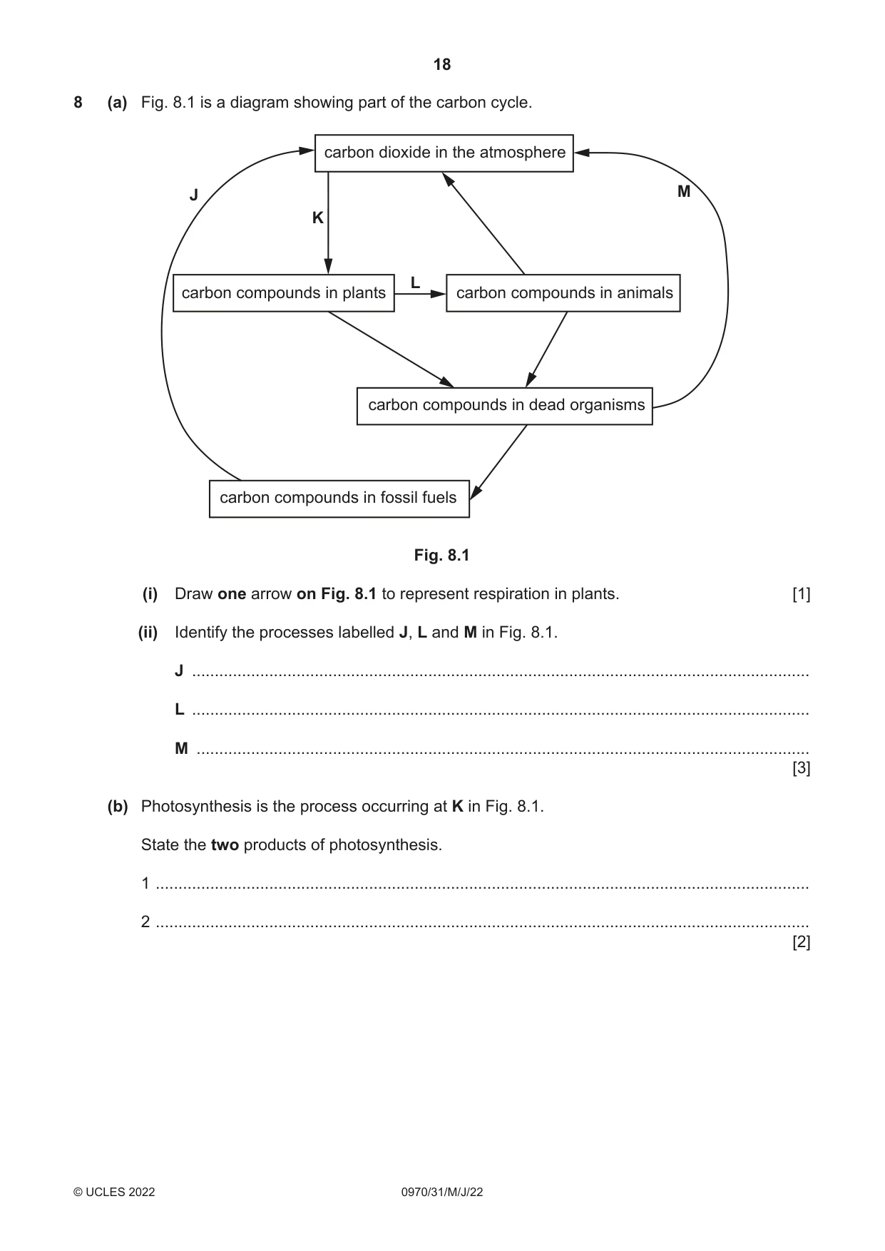 Cambridge IGCSE Biology (9-1) 0970 2022 May/June Paper 3 · Variant 1 question paper, page 18 of 20