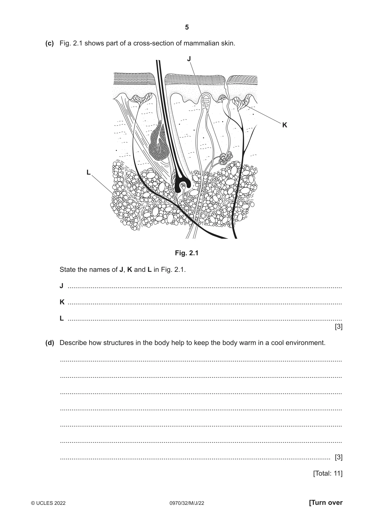 Cambridge IGCSE Biology (9-1) 0970 2022 May/June Paper 3 · Variant 2 question paper, page 5 of 16