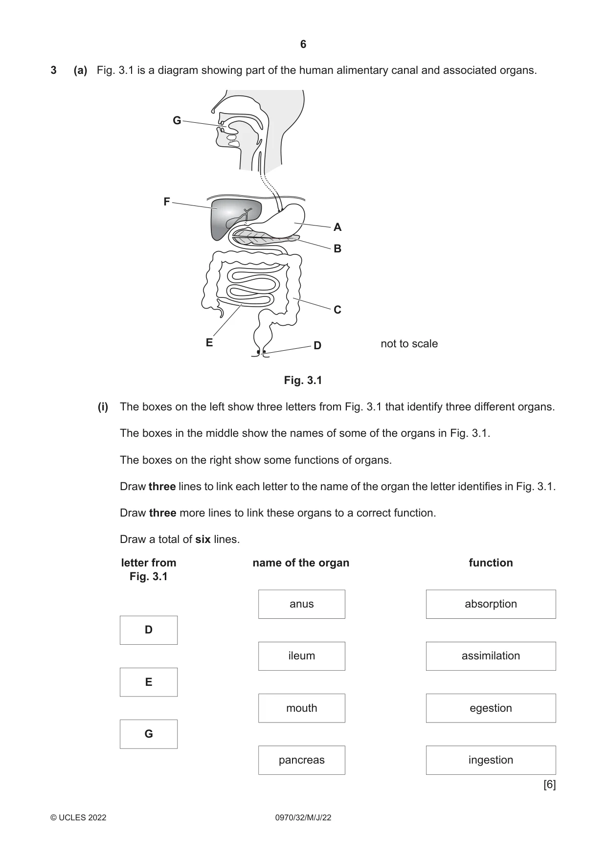 Cambridge IGCSE Biology (9-1) 0970 2022 May/June Paper 3 · Variant 2 question paper, page 6 of 16