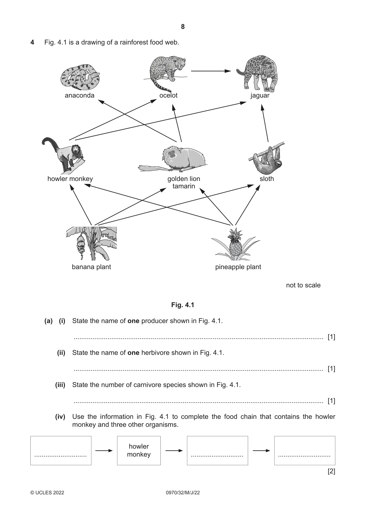 Cambridge IGCSE Biology (9-1) 0970 2022 May/June Paper 3 · Variant 2 question paper, page 8 of 16
