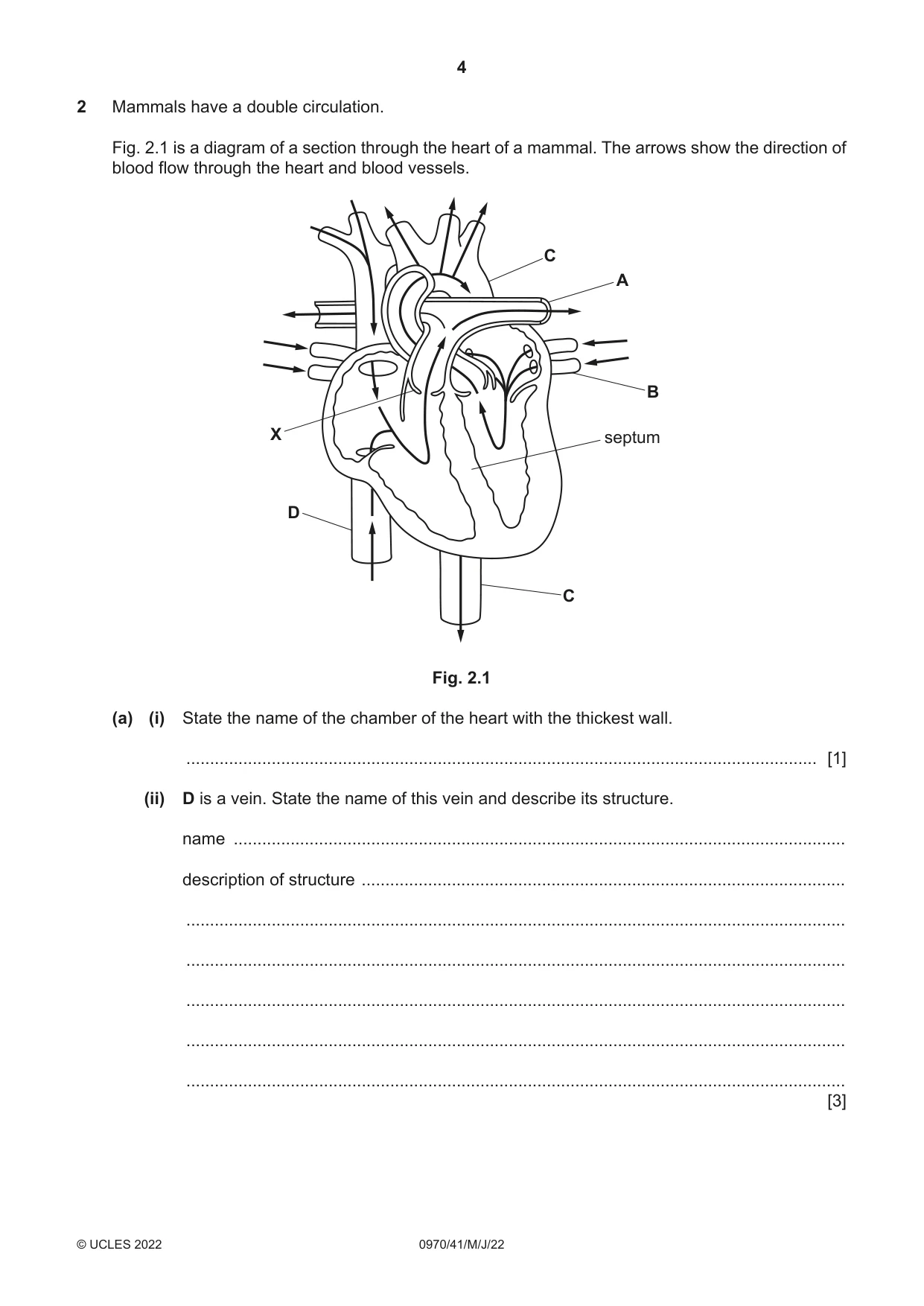 Cambridge IGCSE Biology (9-1) 0970 2022 May/June Paper 4 · Variant 1 question paper, page 4 of 20