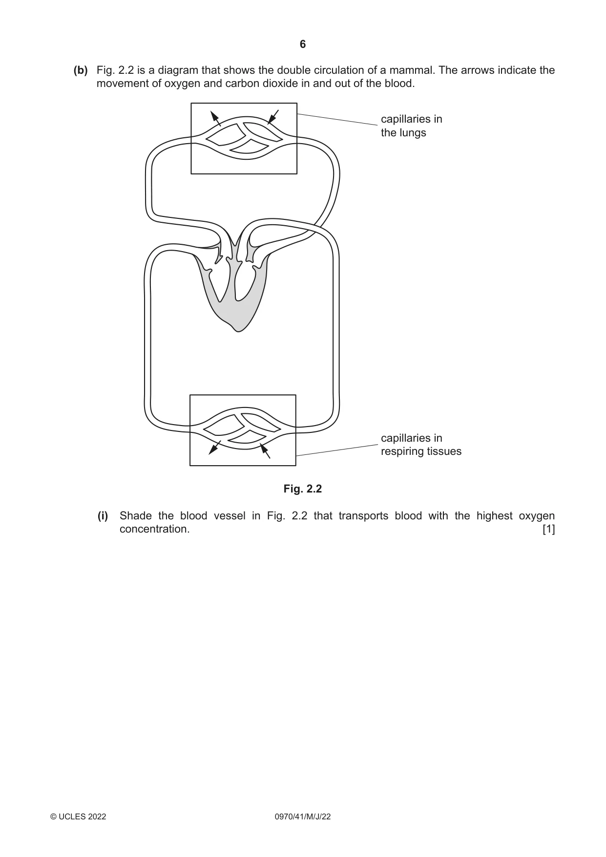 Cambridge IGCSE Biology (9-1) 0970 2022 May/June Paper 4 · Variant 1 question paper, page 6 of 20