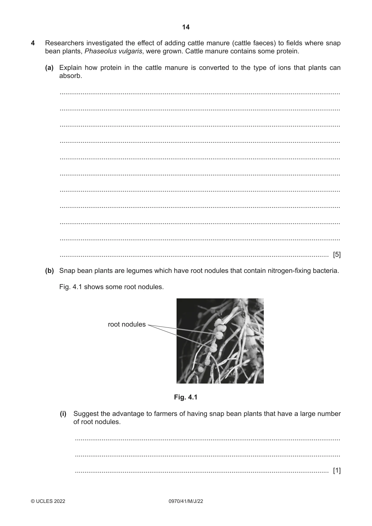 Cambridge IGCSE Biology (9-1) 0970 2022 May/June Paper 4 · Variant 1 question paper, page 14 of 20
