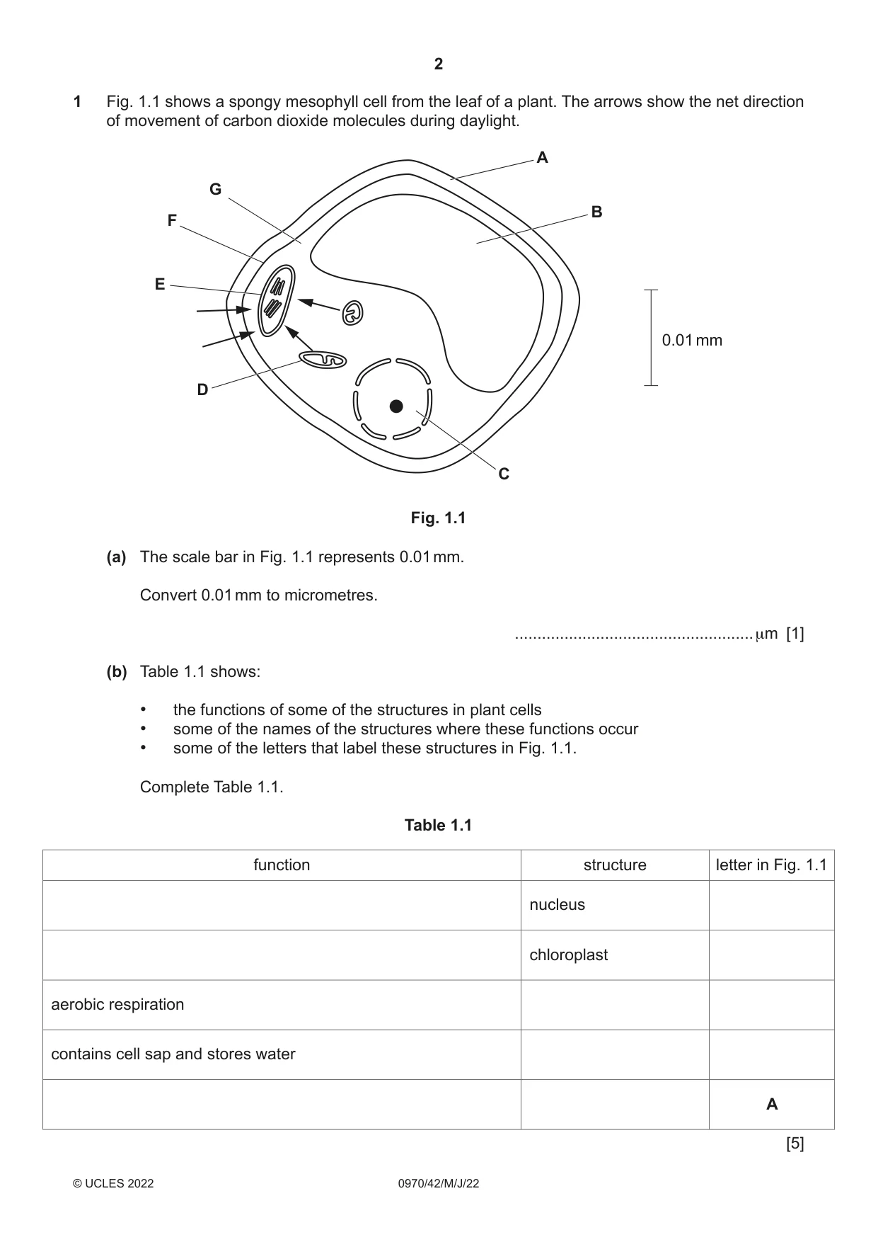 Cambridge IGCSE Biology (9-1) 0970 2022 May/June Paper 4 · Variant 2 question paper, page 2 of 20