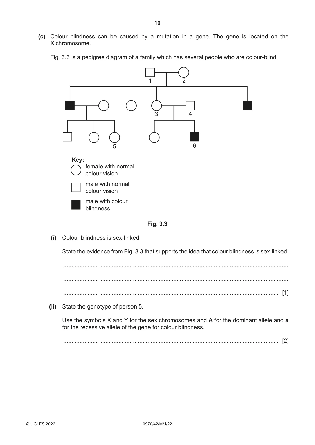 Cambridge IGCSE Biology (9-1) 0970 2022 May/June Paper 4 · Variant 2 question paper, page 10 of 20