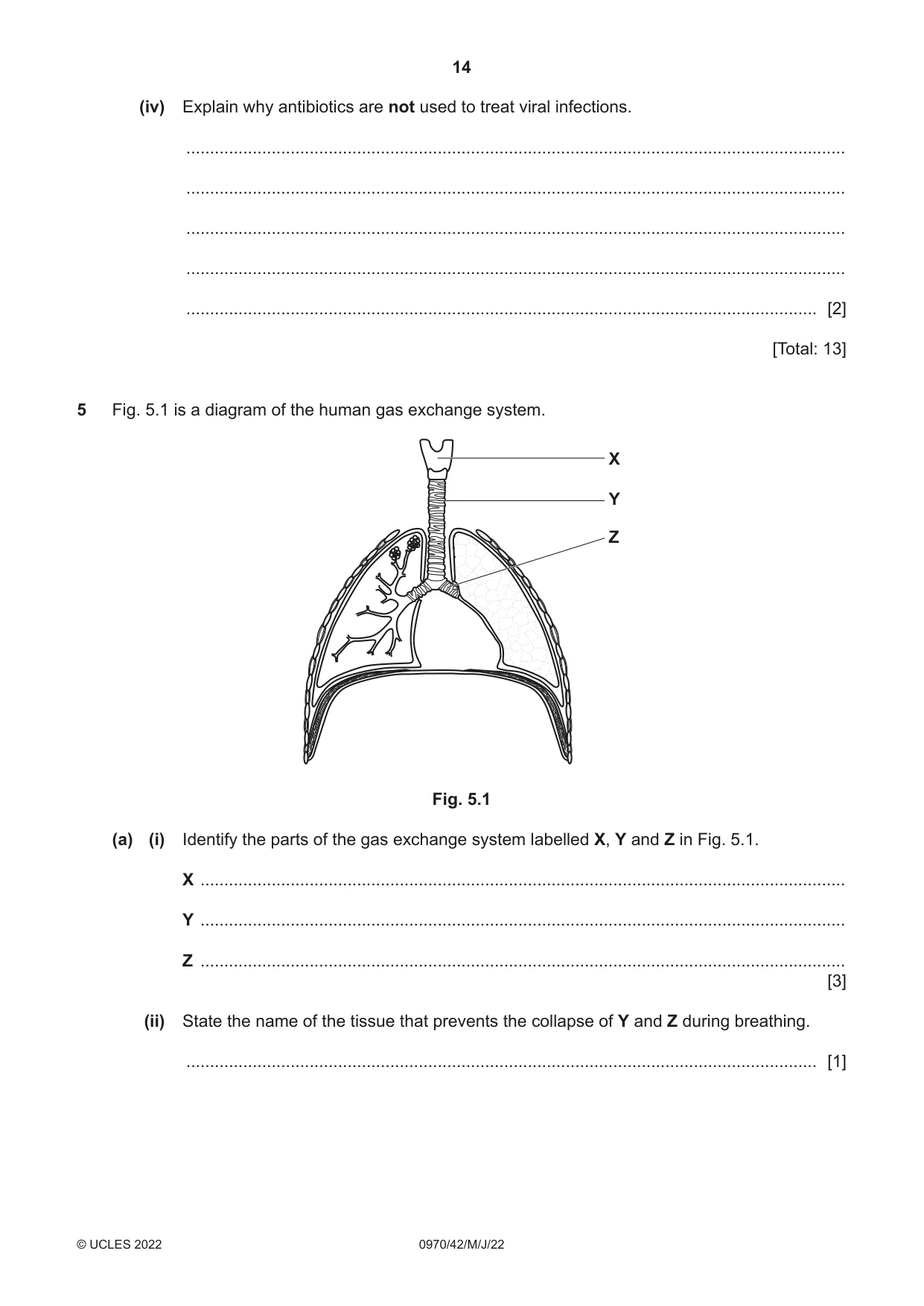 Cambridge IGCSE Biology (9-1) 0970 2022 May/June Paper 4 · Variant 2 question paper, page 14 of 20