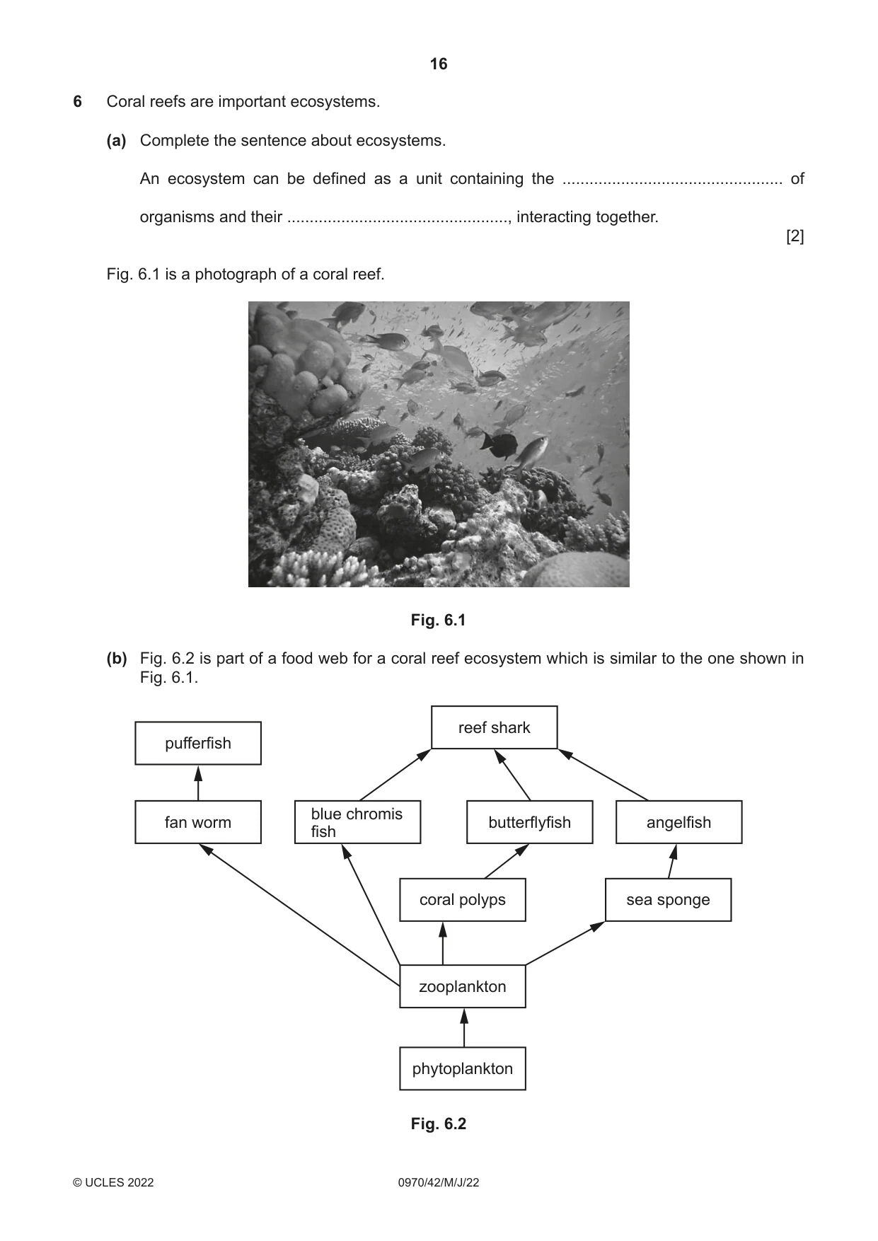 Cambridge IGCSE Biology (9-1) 0970 2022 May/June Paper 4 · Variant 2 question paper, page 16 of 20