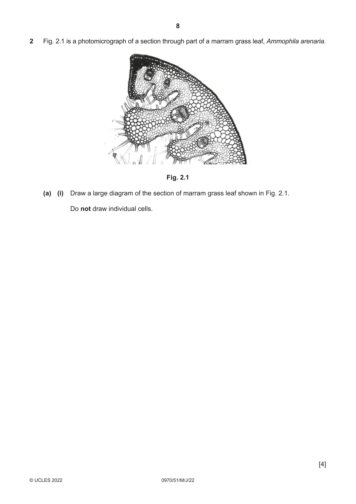 Cambridge IGCSE Biology (9-1) 0970 2022 May/June Paper 5 · Variant 1 question paper, page 8 of 12