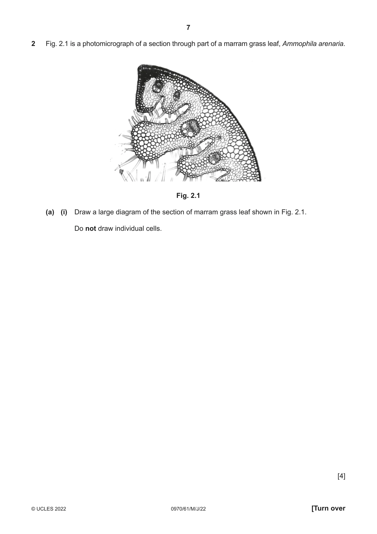 Cambridge IGCSE Biology (9-1) 0970 2022 May/June Paper 6 · Variant 1 question paper, page 7 of 12