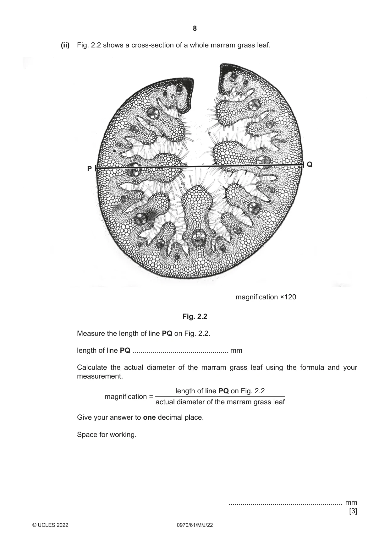 Cambridge IGCSE Biology (9-1) 0970 2022 May/June Paper 6 · Variant 1 question paper, page 8 of 12