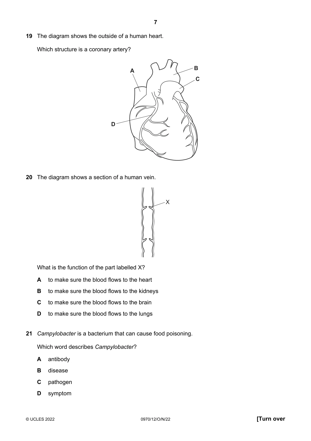 Cambridge IGCSE Biology (9-1) 0970 2022 Oct/Nov Paper 1 · Variant 2 question paper, page 7 of 16