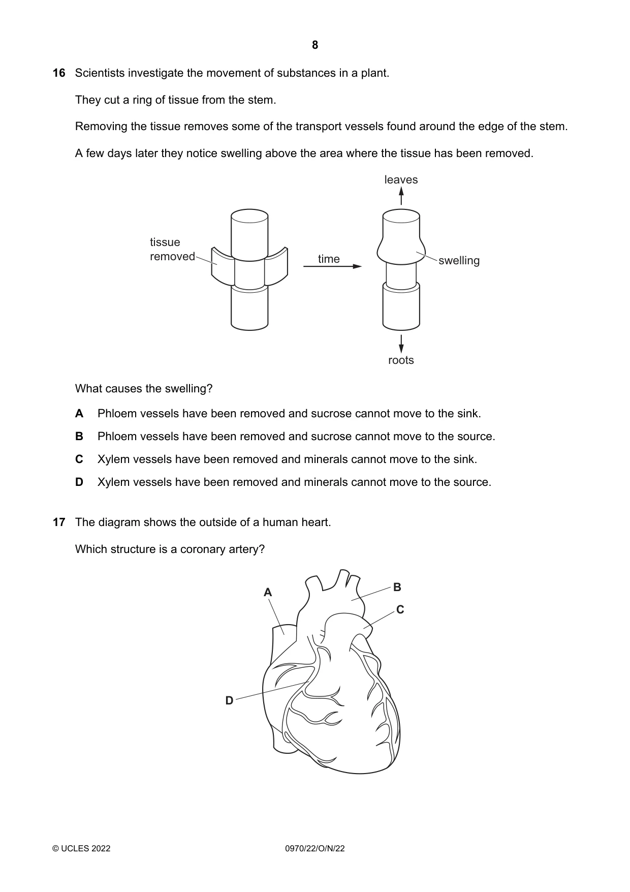 Cambridge IGCSE Biology (9-1) 0970 2022 Oct/Nov Paper 2 · Variant 2 question paper, page 8 of 16