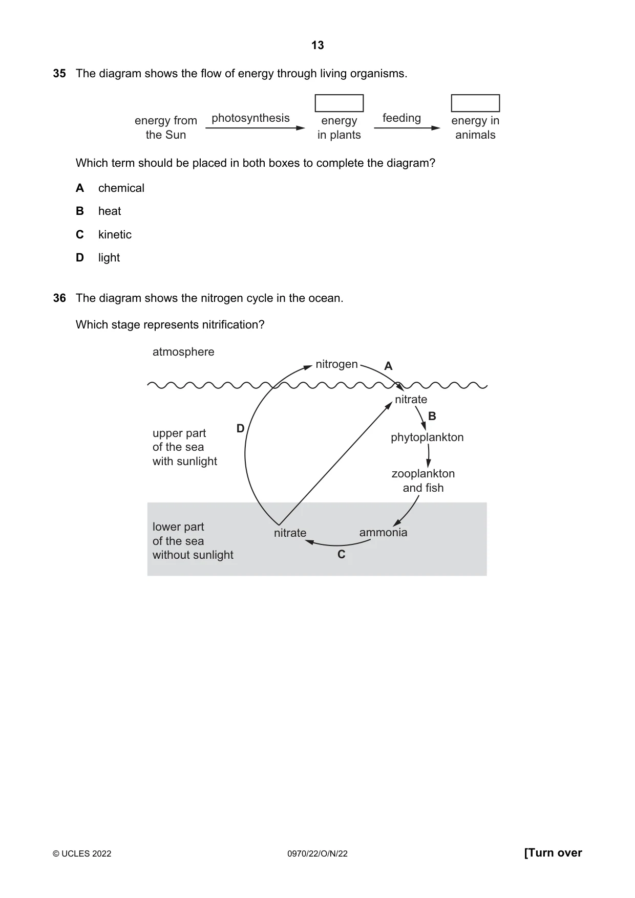 Cambridge IGCSE Biology (9-1) 0970 2022 Oct/Nov Paper 2 · Variant 2 question paper, page 13 of 16