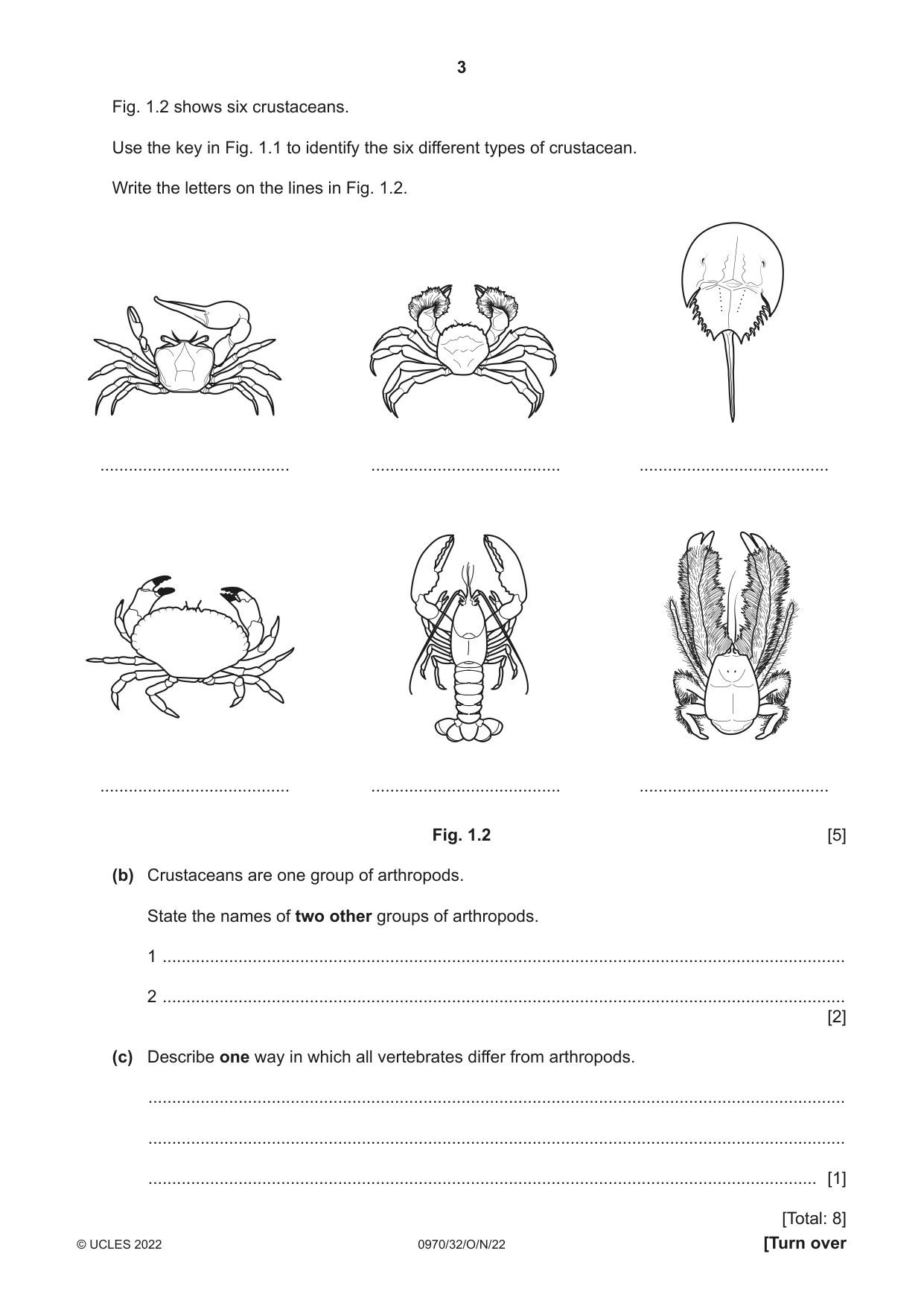 Cambridge IGCSE Biology (9-1) 0970 2022 Oct/Nov Paper 3 · Variant 2 question paper, page 3 of 20