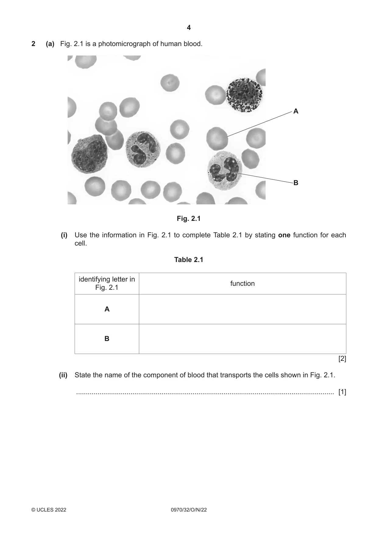 Cambridge IGCSE Biology (9-1) 0970 2022 Oct/Nov Paper 3 · Variant 2 question paper, page 4 of 20