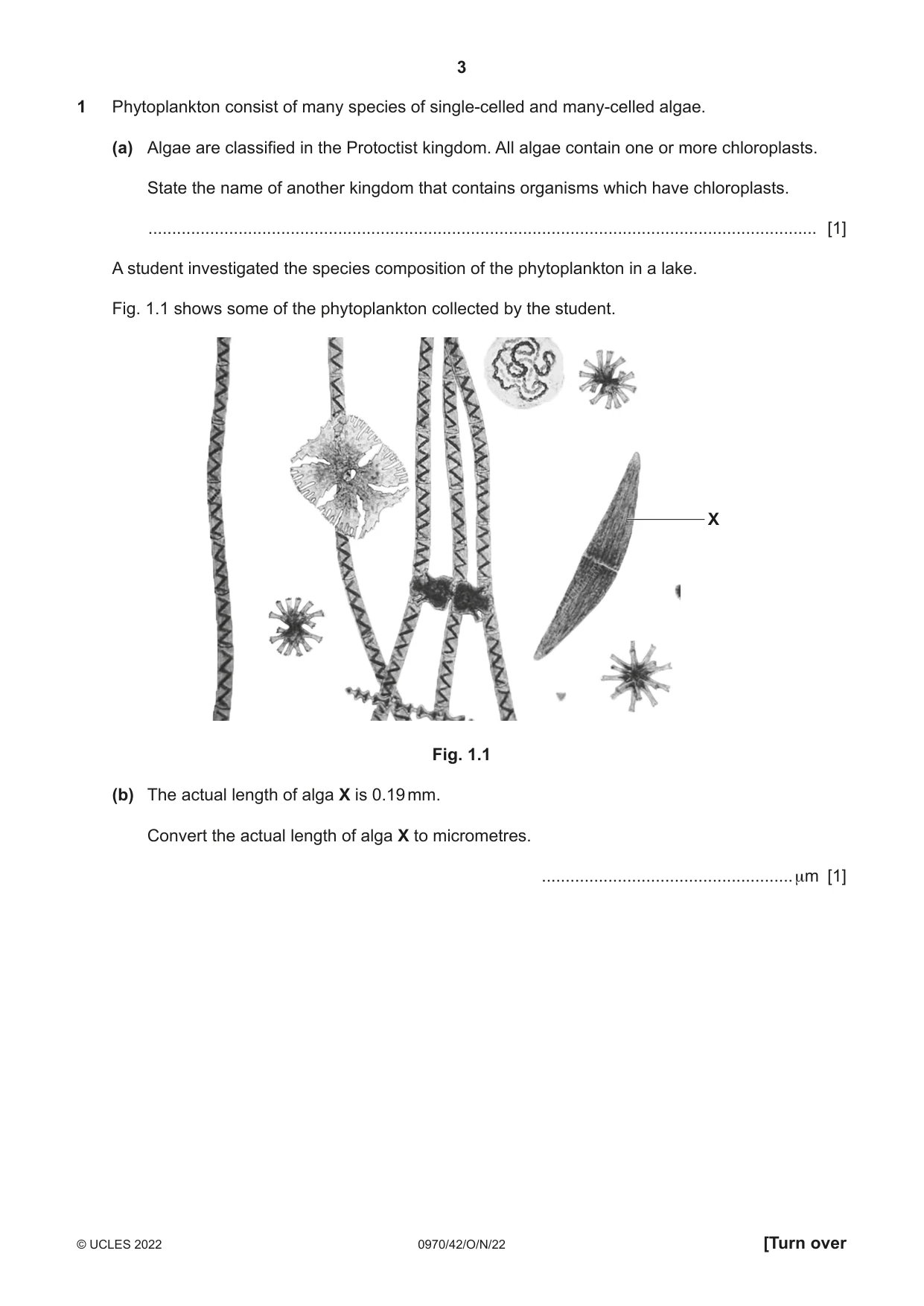 Cambridge IGCSE Biology (9-1) 0970 2022 Oct/Nov Paper 4 · Variant 2 question paper, page 3 of 20