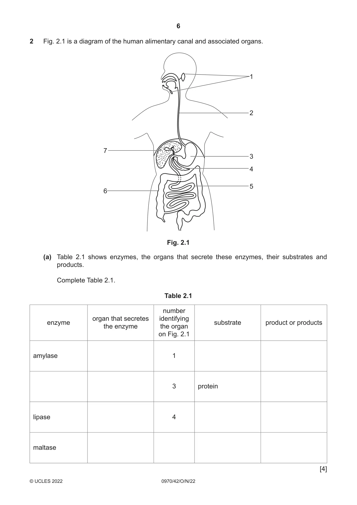 Cambridge IGCSE Biology (9-1) 0970 2022 Oct/Nov Paper 4 · Variant 2 question paper, page 6 of 20
