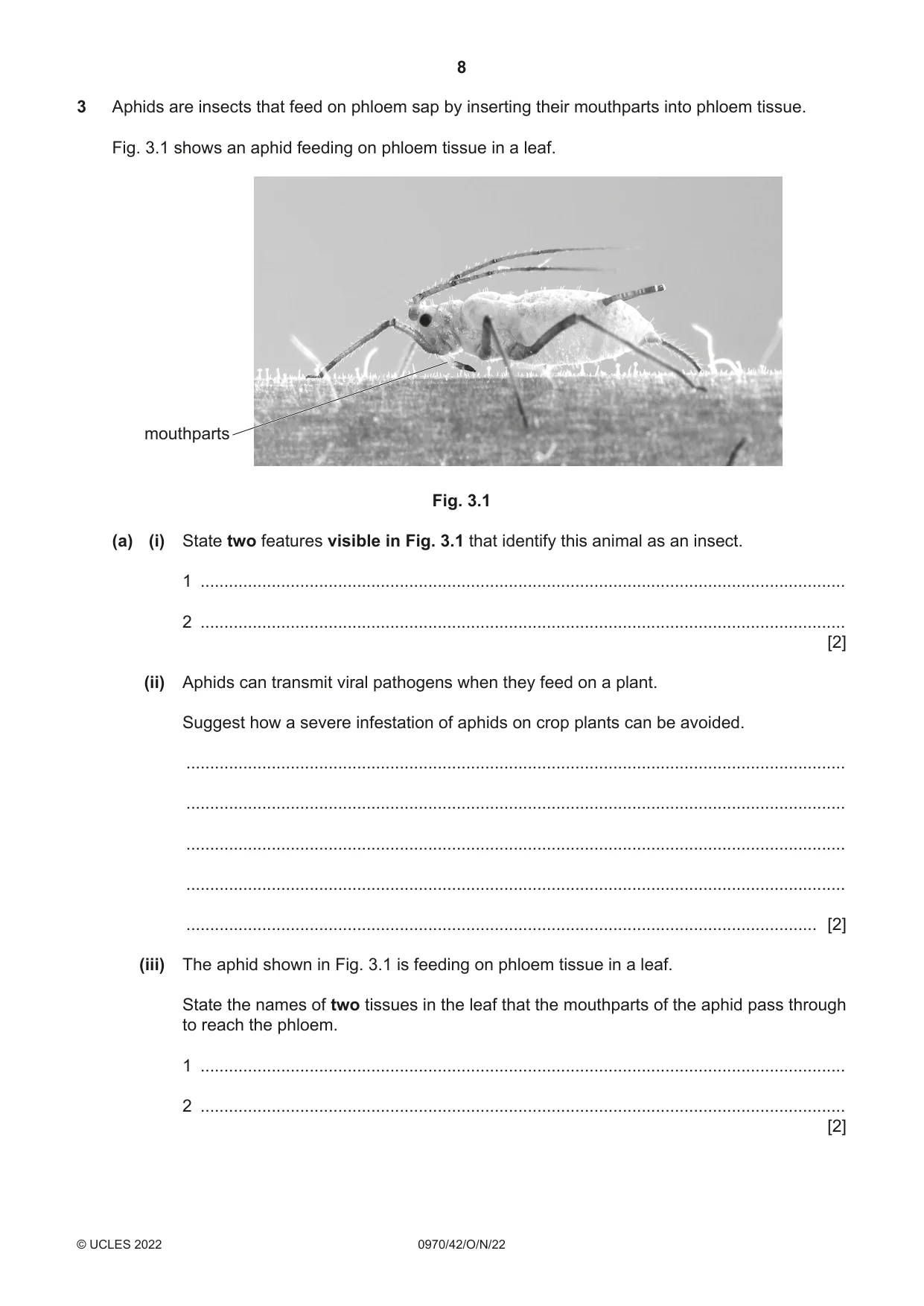 Cambridge IGCSE Biology (9-1) 0970 2022 Oct/Nov Paper 4 · Variant 2 question paper, page 8 of 20