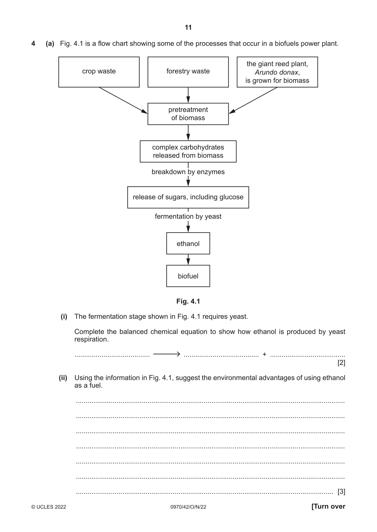 Cambridge IGCSE Biology (9-1) 0970 2022 Oct/Nov Paper 4 · Variant 2 question paper, page 11 of 20