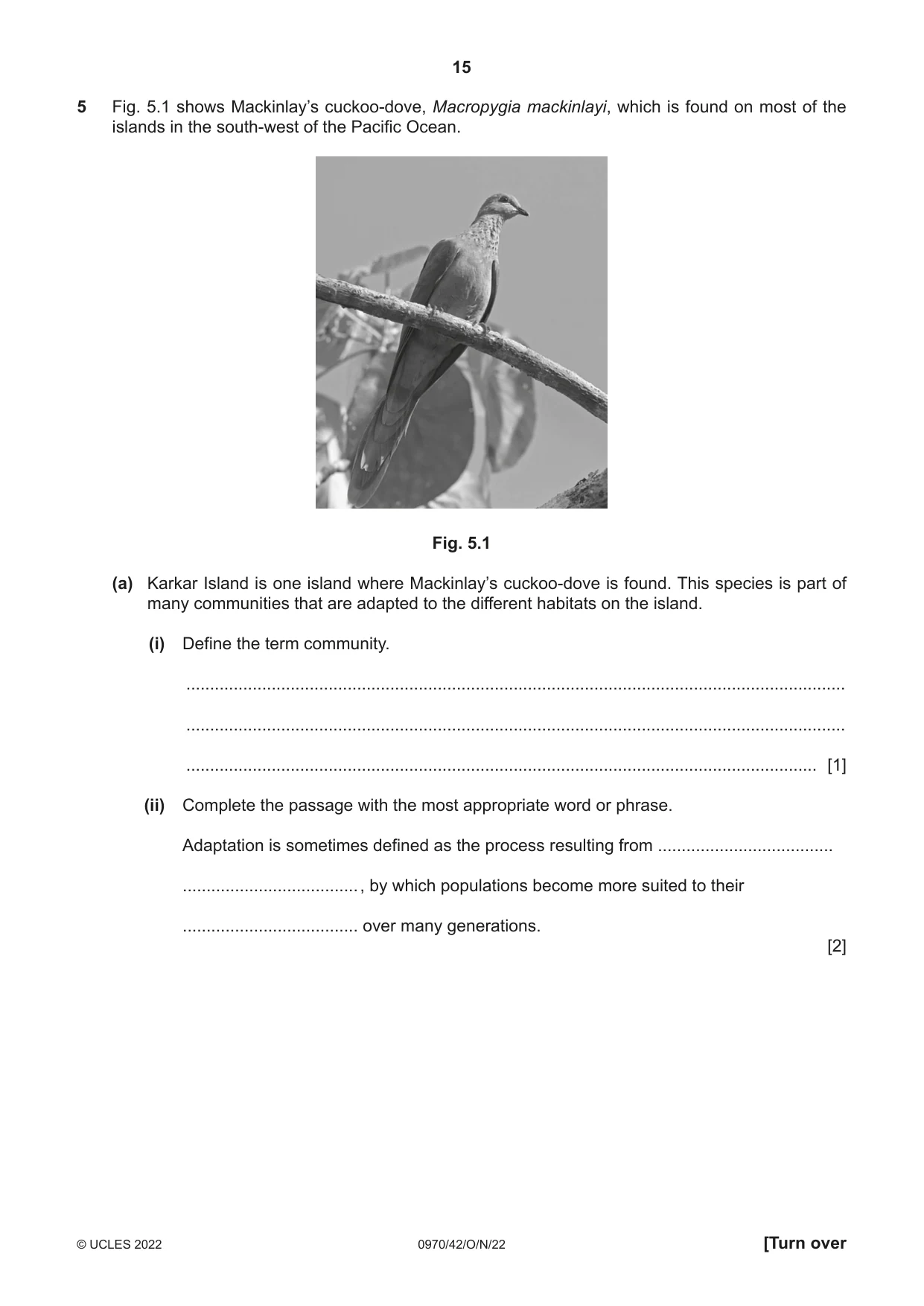 Cambridge IGCSE Biology (9-1) 0970 2022 Oct/Nov Paper 4 · Variant 2 question paper, page 15 of 20