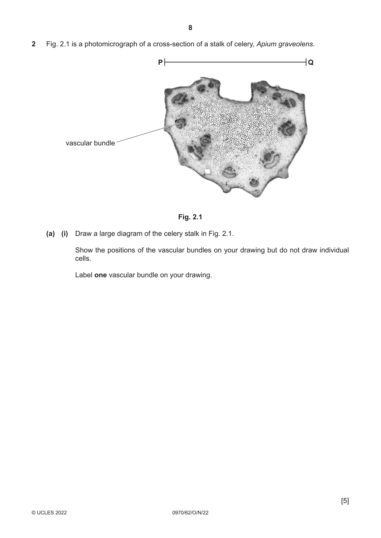 Cambridge IGCSE Biology (9-1) 0970 2022 Oct/Nov Paper 6 · Variant 2 question paper, page 8 of 12