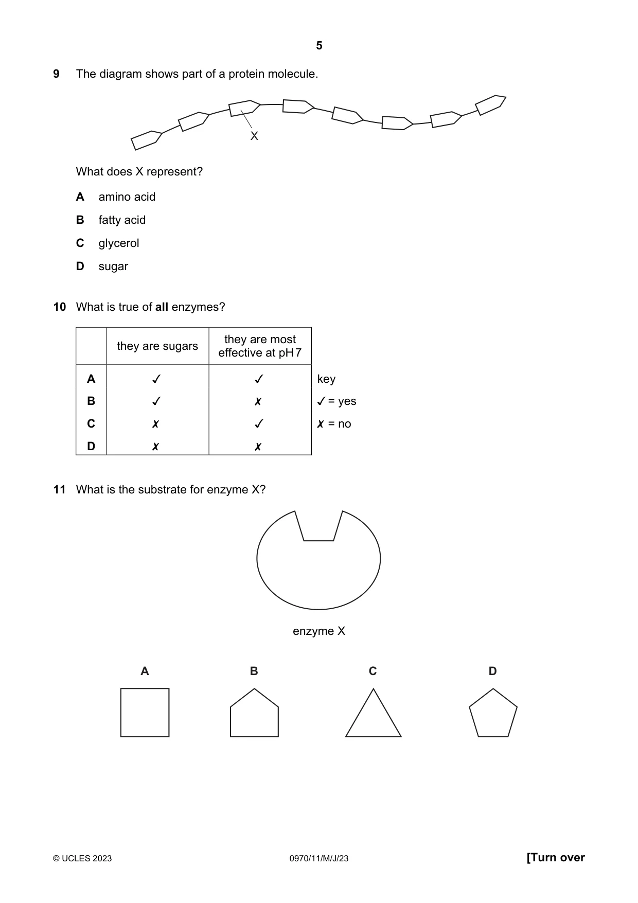 Cambridge IGCSE Biology (9-1) 0970 2023 May/June Paper 1 · Variant 1 question paper, page 5 of 16