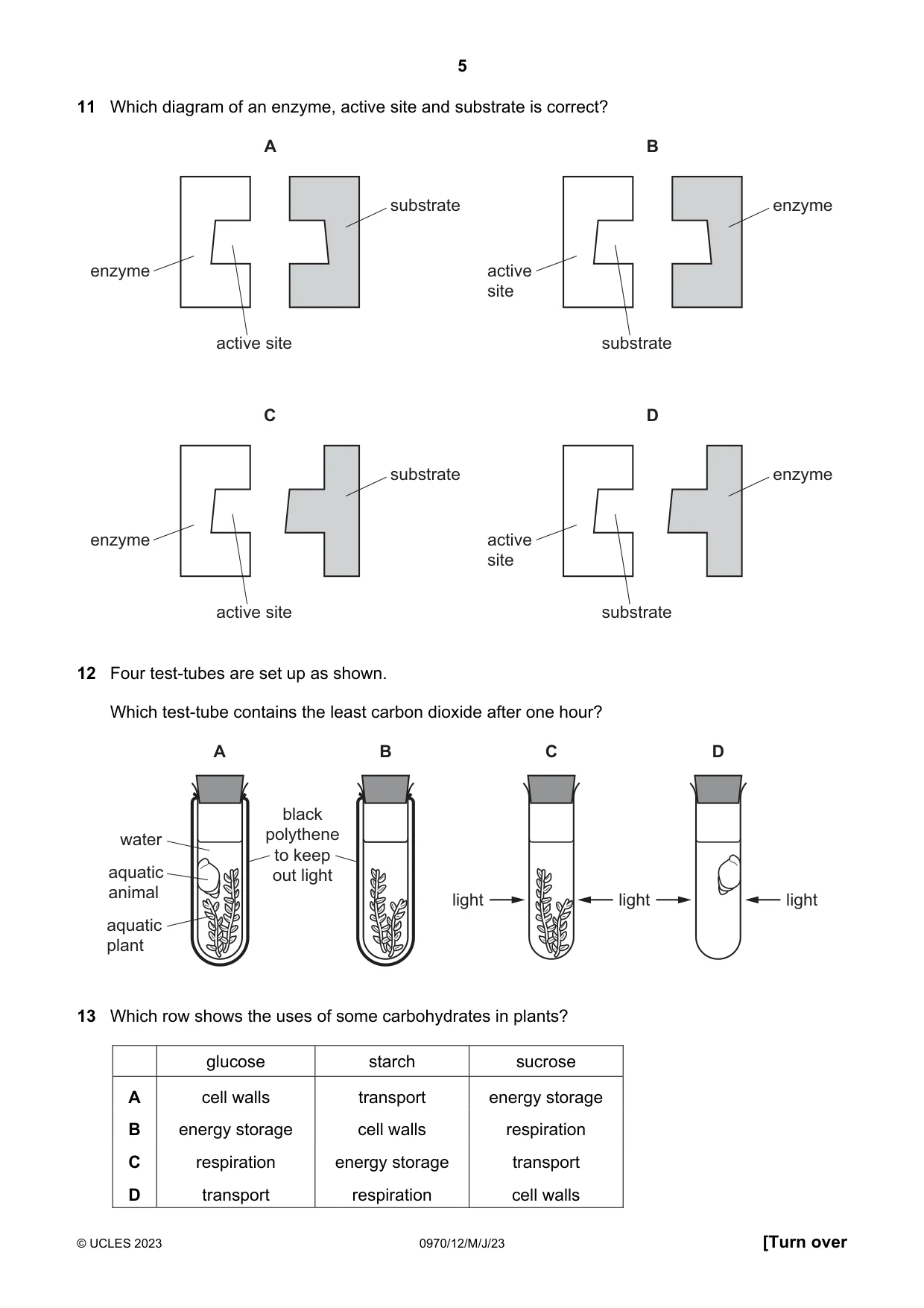Cambridge IGCSE Biology (9-1) 0970 2023 May/June Paper 1 · Variant 2 question paper, page 5 of 16
