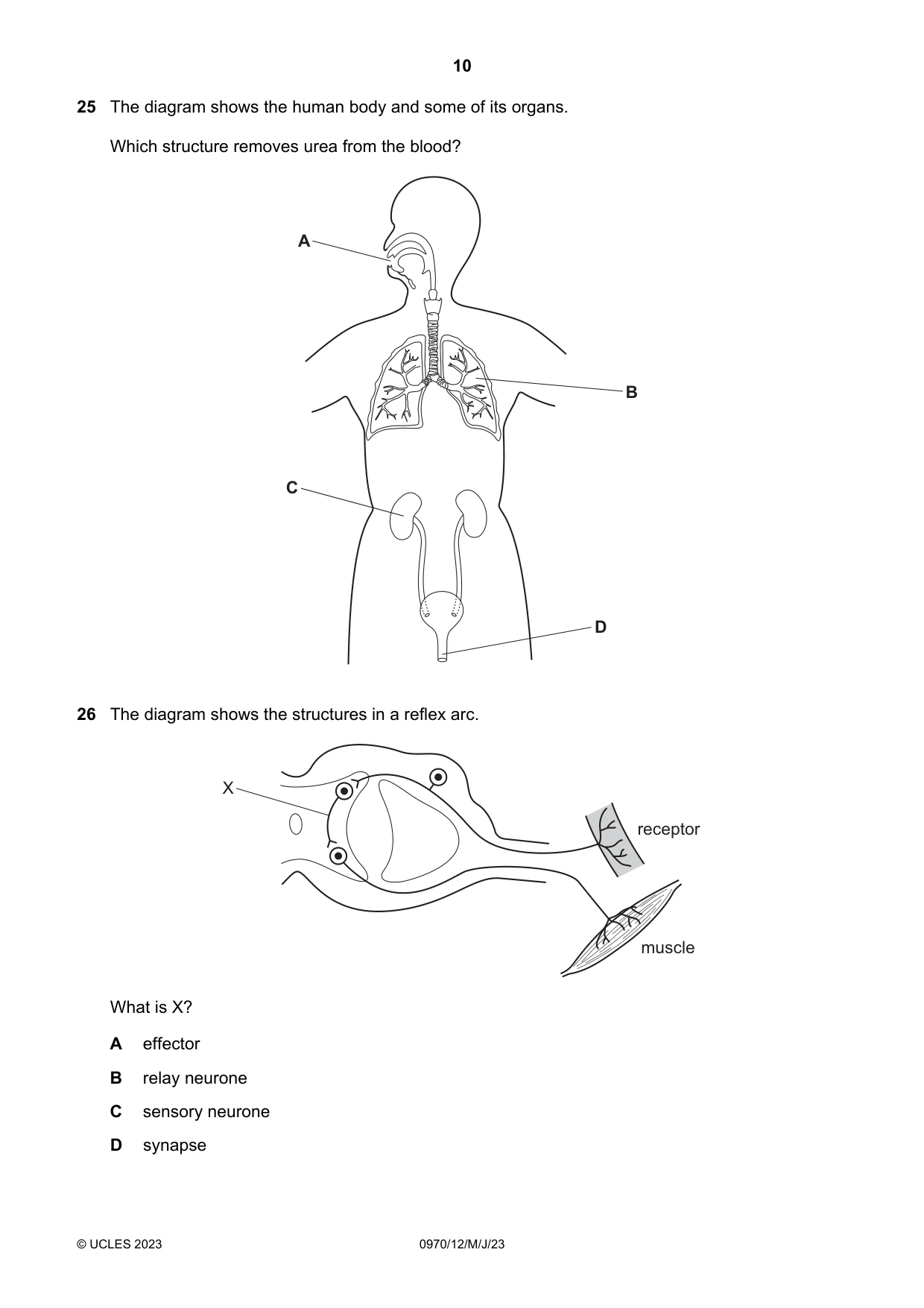Cambridge IGCSE Biology (9-1) 0970 2023 May/June Paper 1 · Variant 2 question paper, page 10 of 16