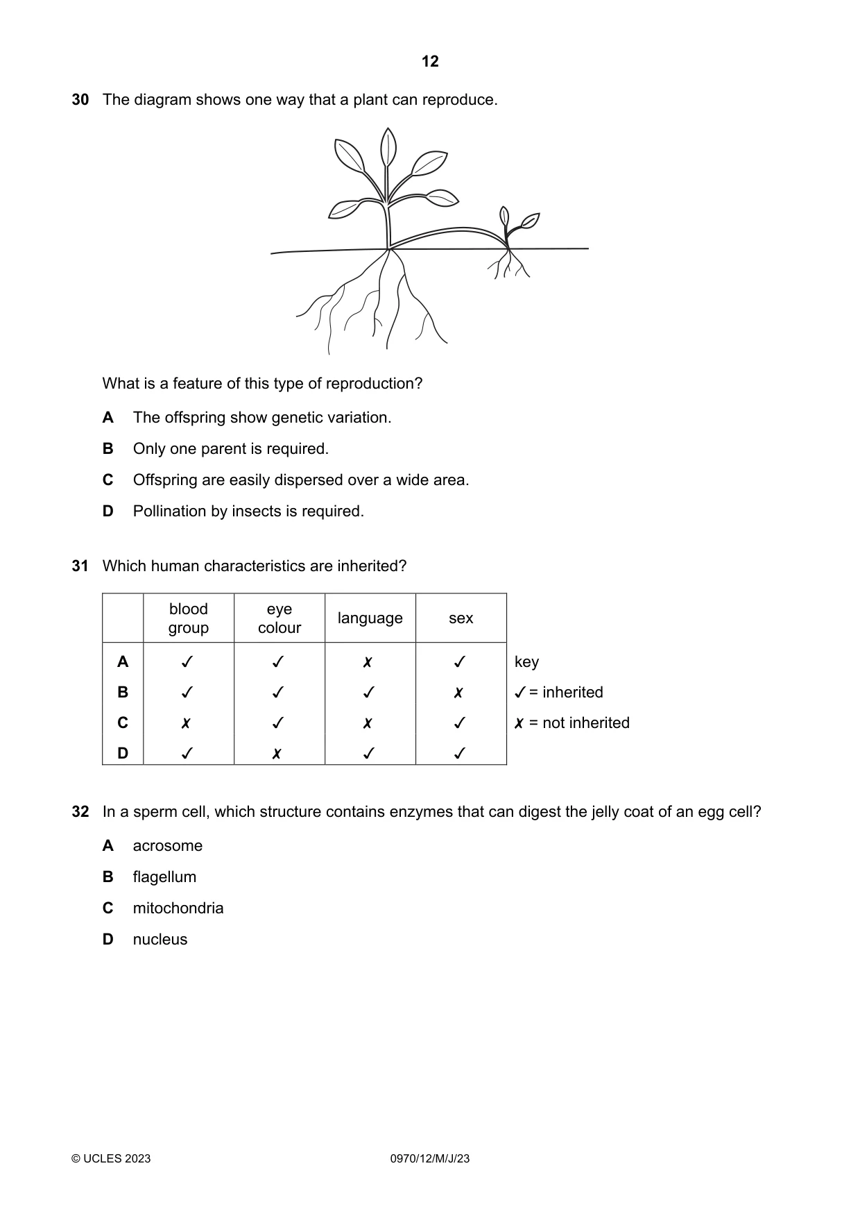 Cambridge IGCSE Biology (9-1) 0970 2023 May/June Paper 1 · Variant 2 question paper, page 12 of 16
