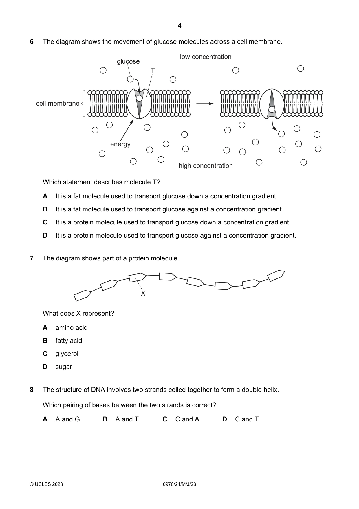 Cambridge IGCSE Biology (9-1) 0970 2023 May/June Paper 2 · Variant 1 question paper, page 4 of 16