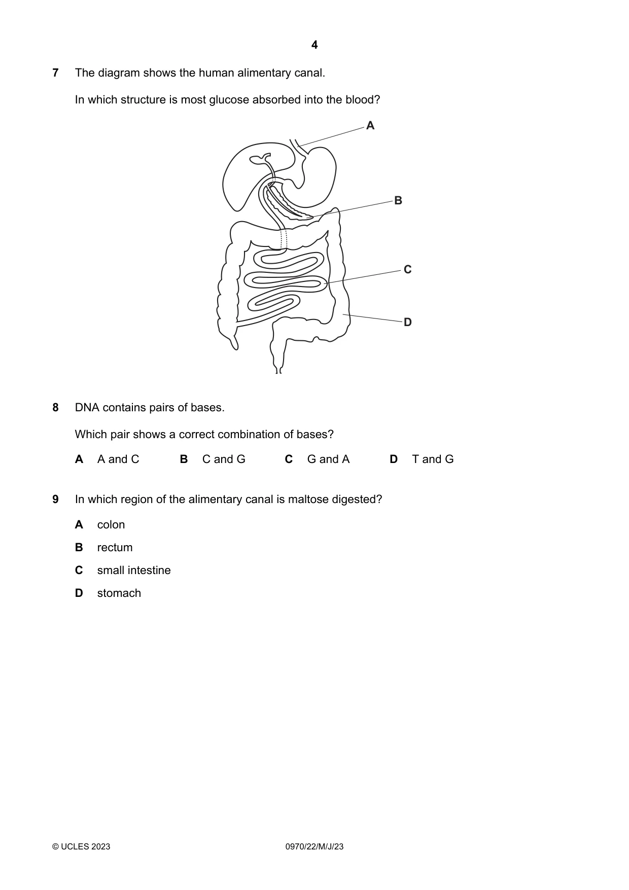 Cambridge IGCSE Biology (9-1) 0970 2023 May/June Paper 2 · Variant 2 question paper, page 4 of 16