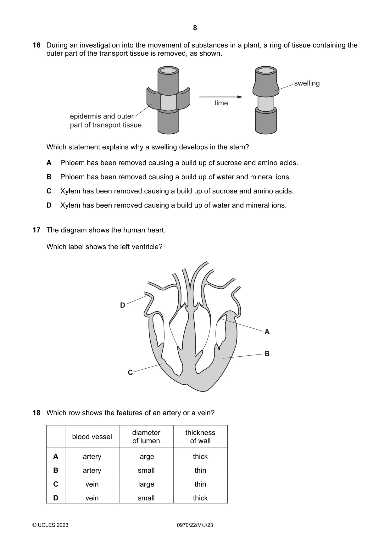Cambridge IGCSE Biology (9-1) 0970 2023 May/June Paper 2 · Variant 2 question paper, page 8 of 16