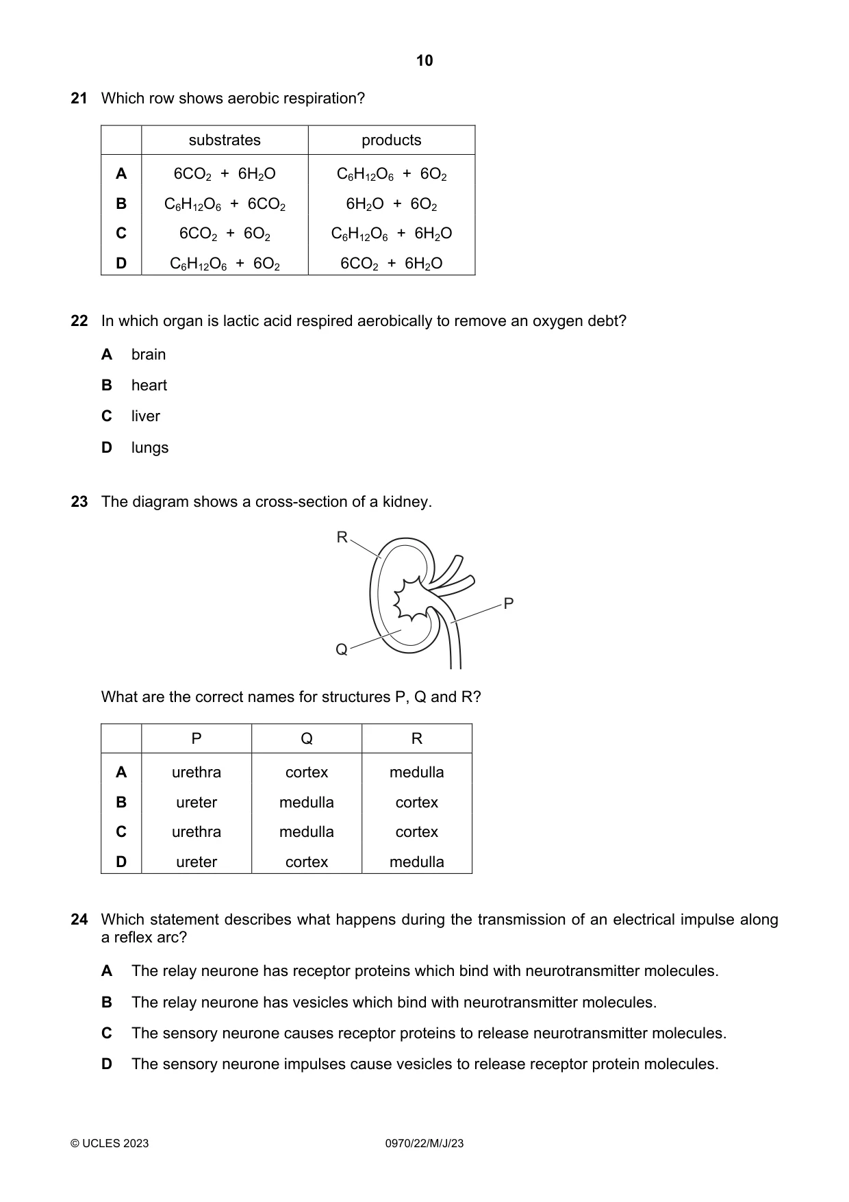Cambridge IGCSE Biology (9-1) 0970 2023 May/June Paper 2 · Variant 2 question paper, page 10 of 16