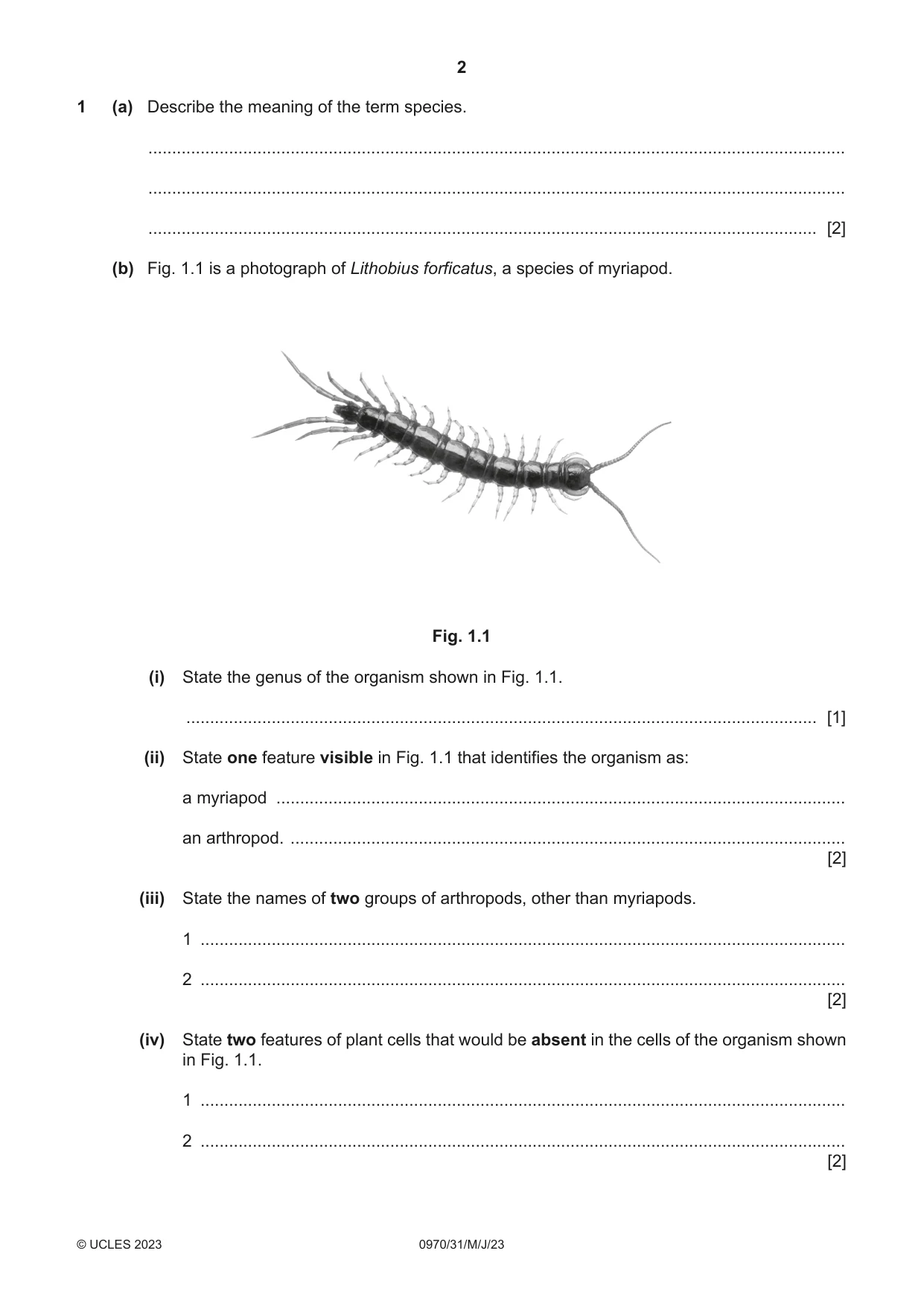Cambridge IGCSE Biology (9-1) 0970 2023 May/June Paper 3 · Variant 1 question paper, page 2 of 20