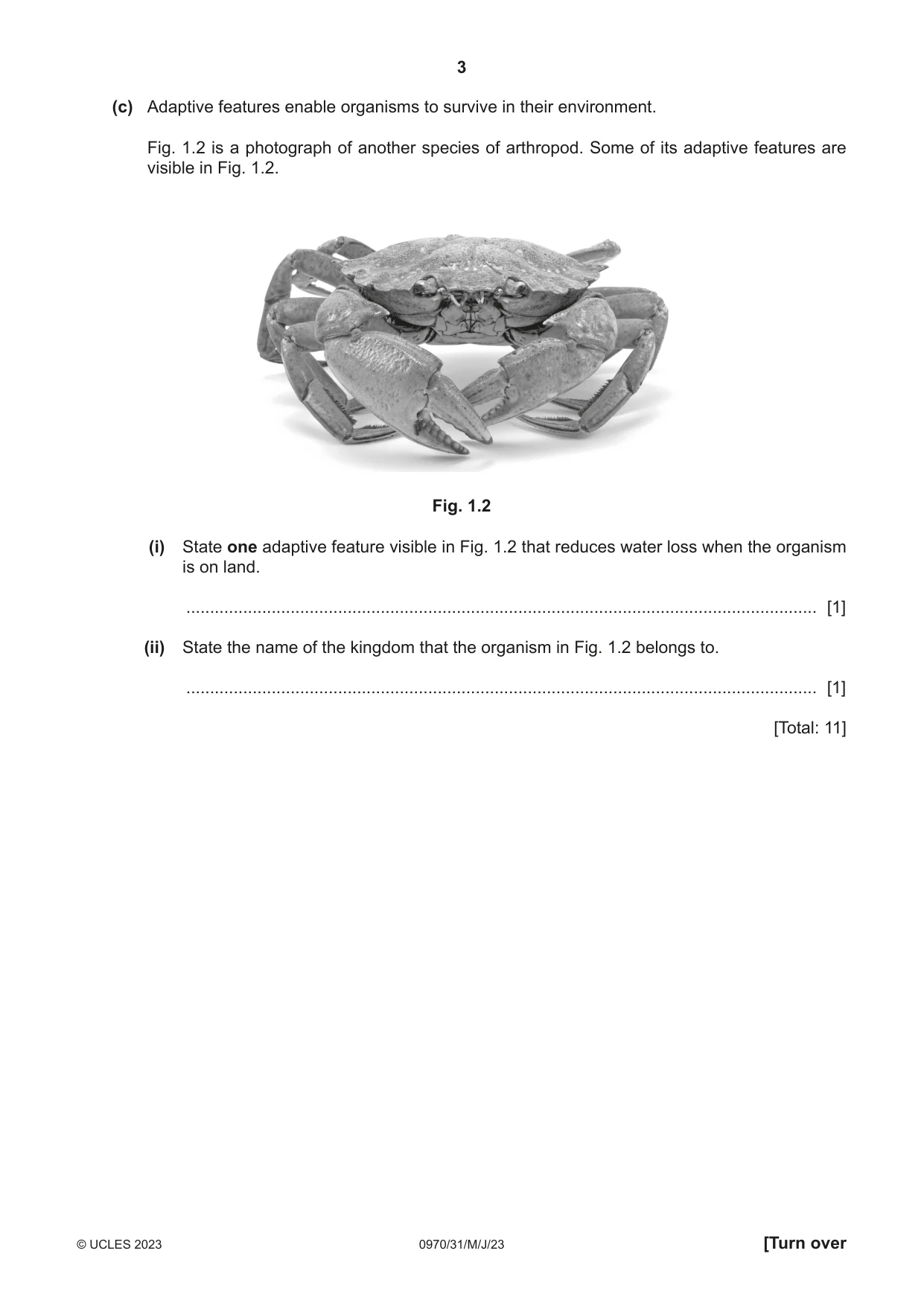 Cambridge IGCSE Biology (9-1) 0970 2023 May/June Paper 3 · Variant 1 question paper, page 3 of 20