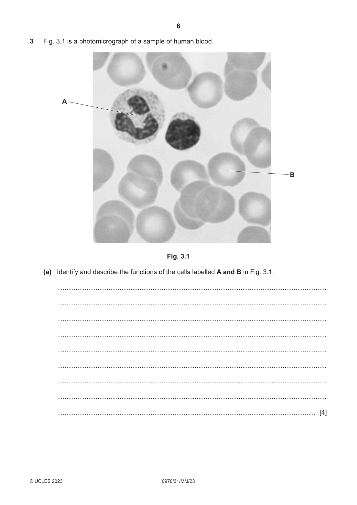 Cambridge IGCSE Biology (9-1) 0970 2023 May/June Paper 3 · Variant 1 question paper, page 6 of 20