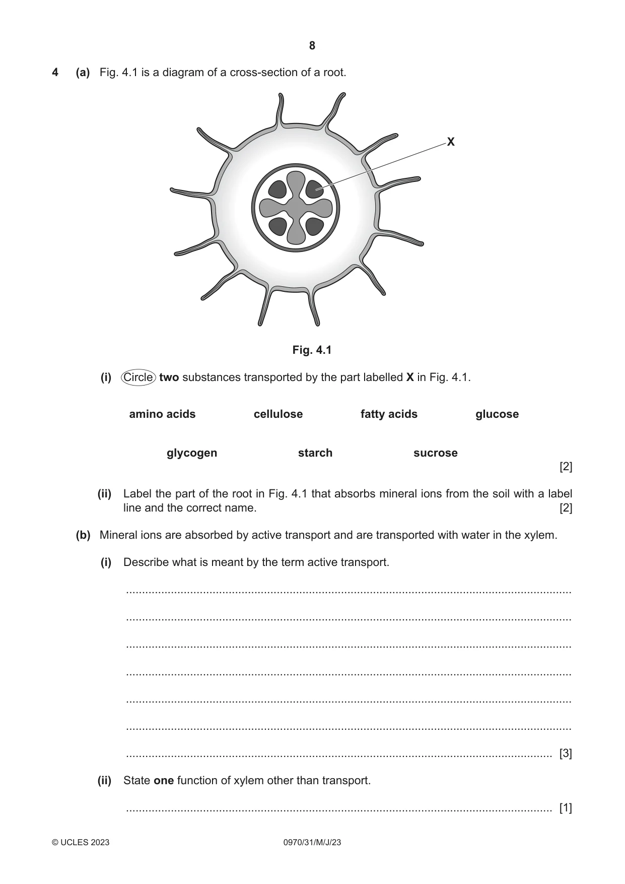 Cambridge IGCSE Biology (9-1) 0970 2023 May/June Paper 3 · Variant 1 question paper, page 8 of 20