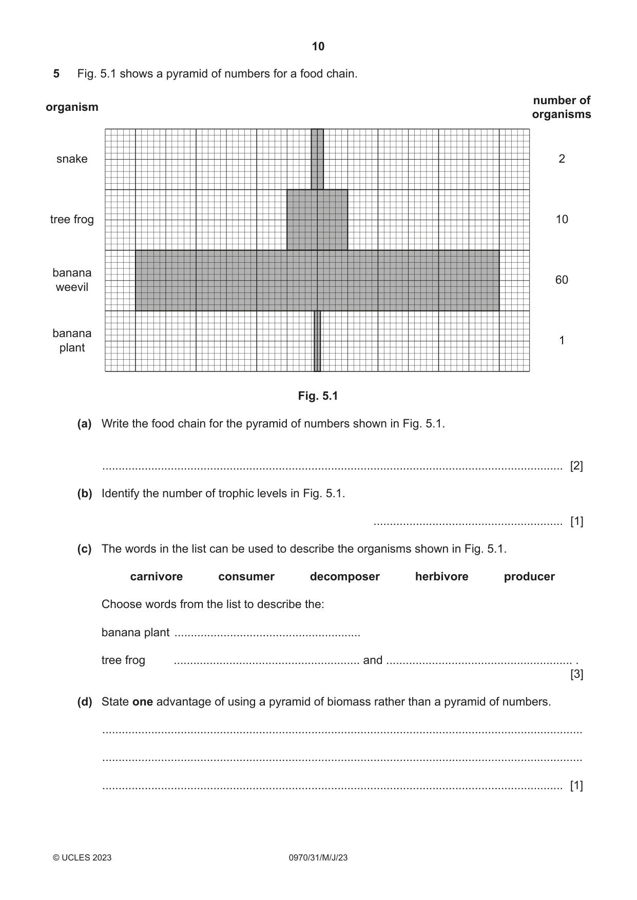 Cambridge IGCSE Biology (9-1) 0970 2023 May/June Paper 3 · Variant 1 question paper, page 10 of 20