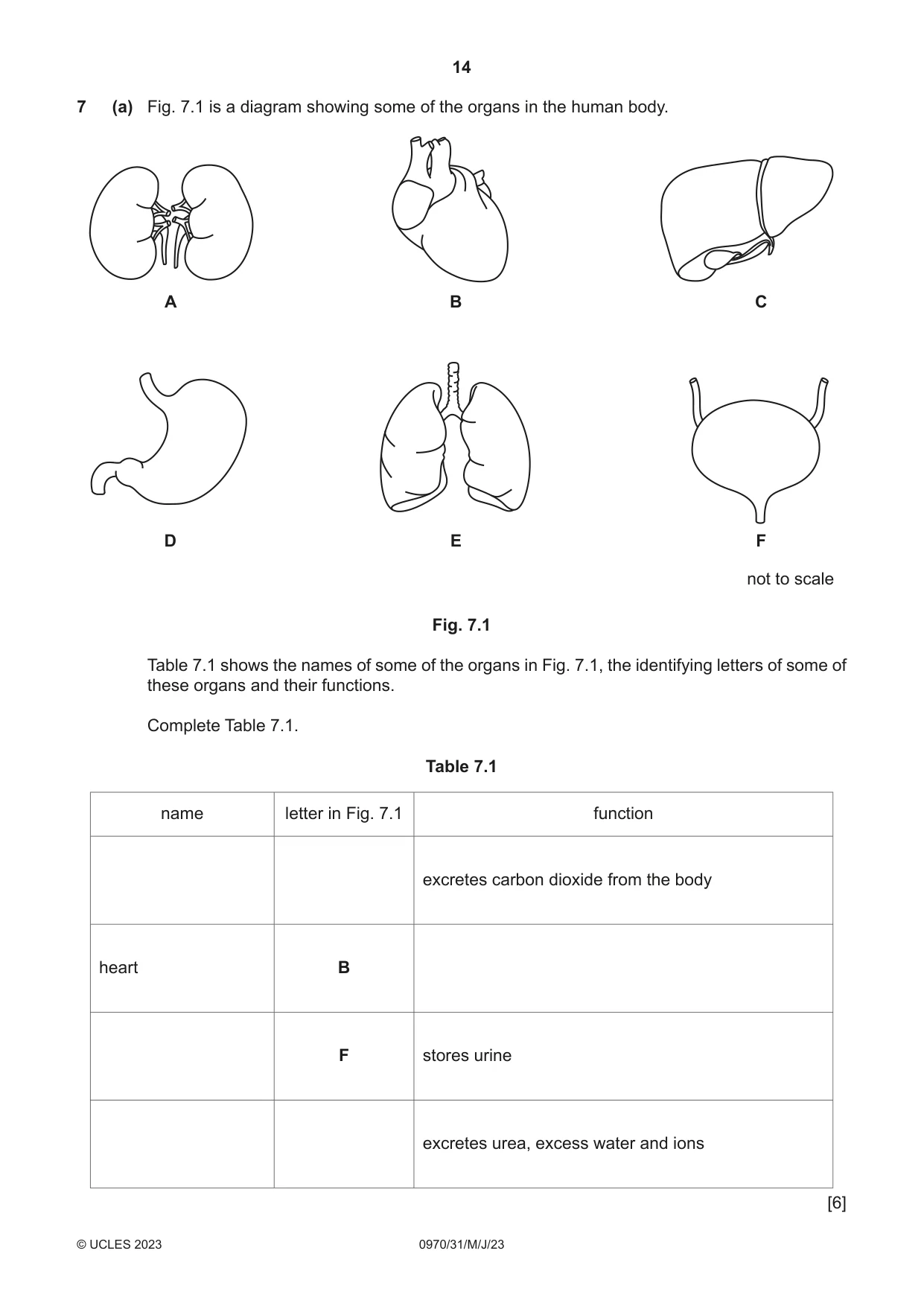 Cambridge IGCSE Biology (9-1) 0970 2023 May/June Paper 3 · Variant 1 question paper, page 14 of 20