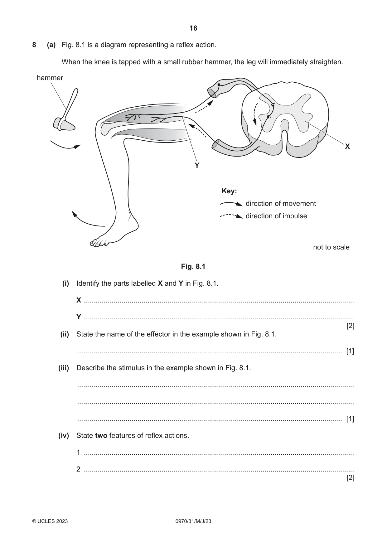 Cambridge IGCSE Biology (9-1) 0970 2023 May/June Paper 3 · Variant 1 question paper, page 16 of 20