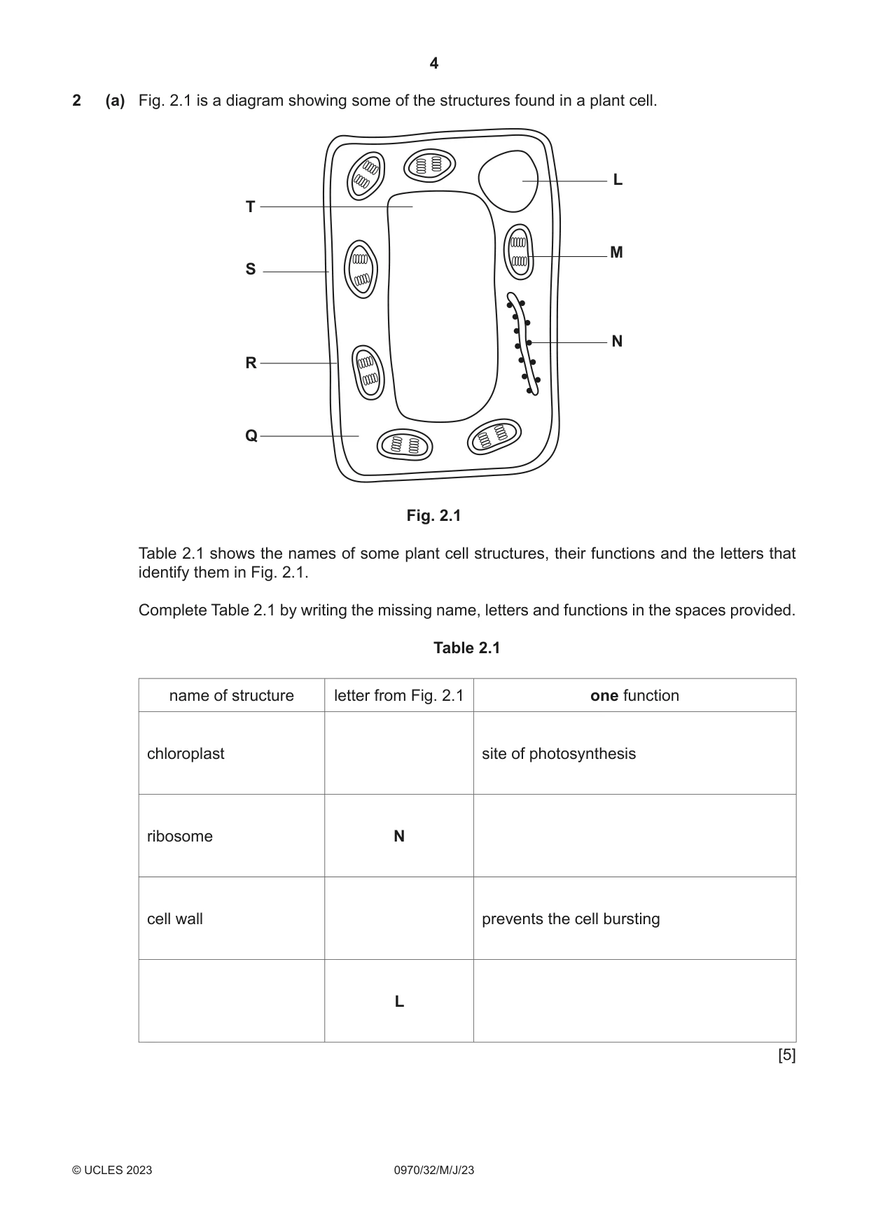 Cambridge IGCSE Biology (9-1) 0970 2023 May/June Paper 3 · Variant 2 question paper, page 4 of 20